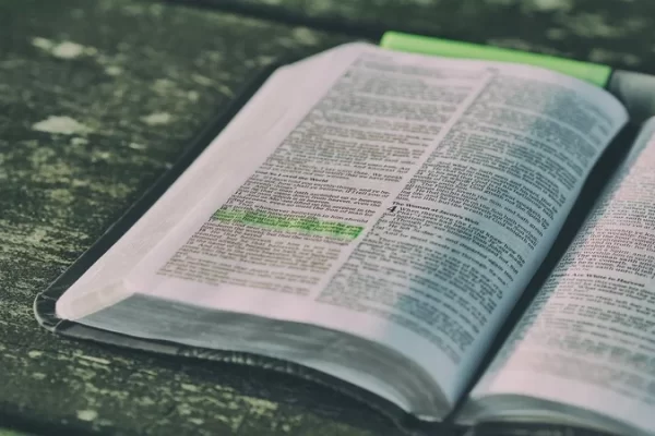 The Power of Literary Quotes to Anchor Us in Difficult Times