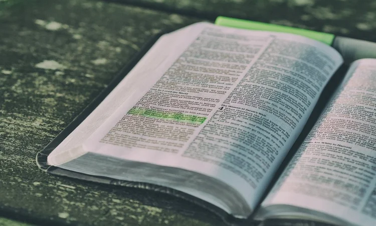 The Power of Literary Quotes to Anchor Us in Difficult Times